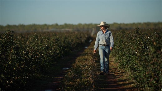 🎥 It’s here! New Silage and Haylage Production video is now live 🌾🚜 Producers across the NT often deal with tight feed supplies, variable pasture quality and shifting seasonal conditions, all of which can affect cattle performance and farm profitability. To help address these realities, silage and haylage offer reliable ways to preserve high quality feed. NT Farmers and Northern Hub have teamed up to develop a practical, locally focused video exploring the process of silage and haylage produc