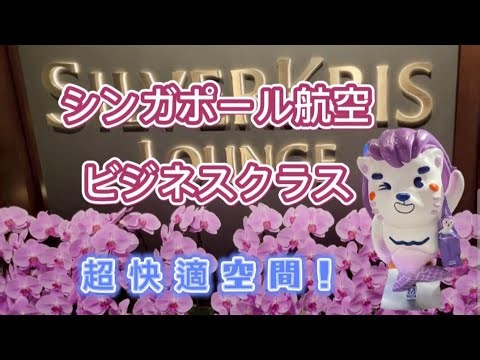 【シンガポール旅行】シンガポール航空ビジネスクラス/超快適空間を満喫