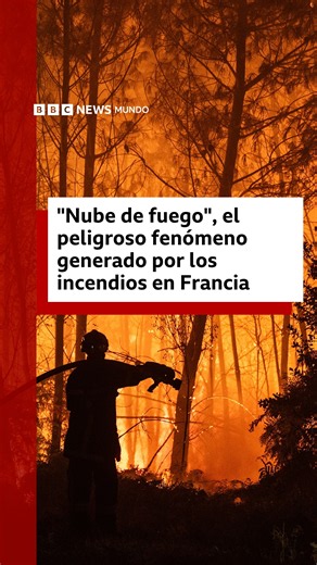 "Nube de fuego", el peligroso fenómeno generado por los incendios en Francia