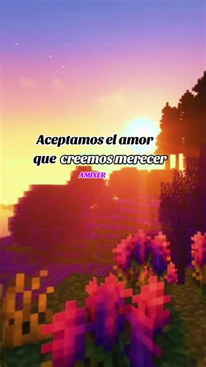 AMIXER 🫂 #minecraft #nostalgia #frases #motivation