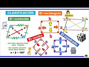 Quadrilateral - 3rd grade