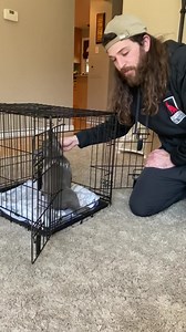 182K views · 1.9K reactions | Hey guys! This is a simple exercise you can practice with your puppy to ensure that they like going into their crate. We are working with Walter, a 12 week old French Bulldog￼￼. ￼ I highly recommend hand feeding your younger puppies and use their food for an obedience exercise￼. | Say It Once Dog Training | Facebook
