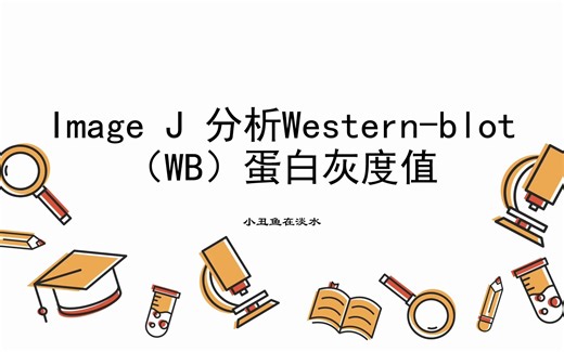 教你用Image J分析western-blot（WB）蛋白灰度值