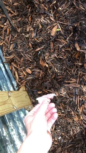 Fishingarrett on TikTok