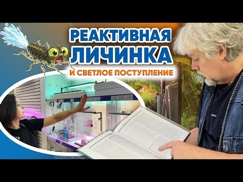 Aquarium Stories from EXOMENU (February 6, 2026). A Reactive Larva and a Light Arrival #MICMOL