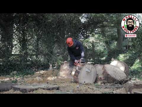 Oregon Versacut DPX72 chain and Advance Cut HD Bar and Frankensaw