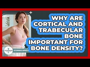 Why Are Cortical And Trabecular Bone Important For Bone Density? - Osteoporosis Support Network