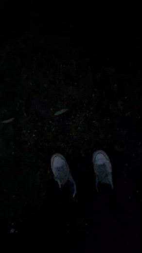 gwawoobleshwuble on Instagram: "Best midnight snack fr Here's a classic "Grandma's Cookies" recipe, perfect for that nostalgic, homemade flavor: Grandma's Classic Chocolate Chip Cookies Ingredients: 1 cup (2 sticks) unsalted butter, softened 3/4 cup granulated sugar 3/4 cup packed brown sugar 1 teaspoon vanilla extract 2 large eggs 2 1/4 cups all-purpose flour 1 teaspoon baking soda 1/2 teaspoon salt 2 cups semi-sweet chocolate chips 1 cup chopped nuts (optional) Instructions: Preheat the Oven: 