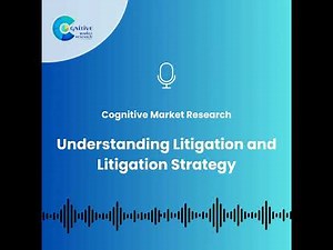 Understanding Litigation and Litigation Strategy