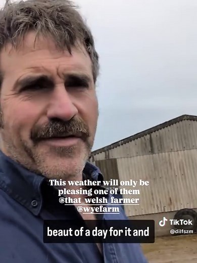 Meet Farmer Ben: A Journey into Farming Life