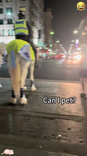 “Can I pet dog?”🤣#funnyvideos #funnytiktok #foryou #fyp #funny