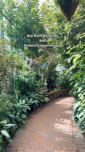 3K views · 93 reactions | Save this for your next Key West trip! #keywest #keywestflorida #floridakeys #floridakeyslife #floridakeysvacation #keywestvacation #thingstodoinkeywest #butterflies #fyp #experiencekeywest | Experience Key West | Facebook