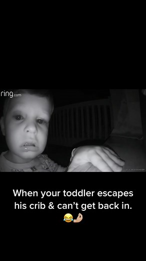 The chronicles of Hayes 🤦🏻‍♀️ | Frank Gallagher Passing