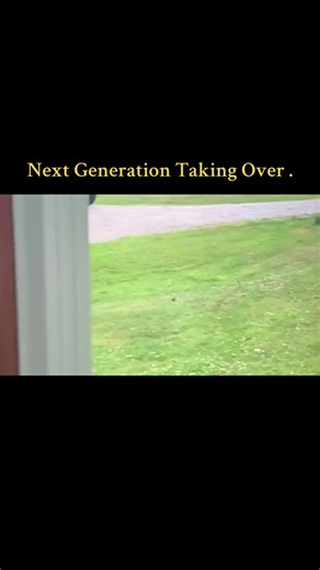 New hay raking tractor test drive . 💚💛🚜💚💛 #farmlife #johndeere #farmtok #ohio #tractors #tractor #farm #country