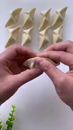 976K views · 10K reactions | Perfect Dumpling Packing Style! #gyoza #dimsum #ravioli #howto #dumplings #recipe #food #art #foodfb #recipetutorial #cookingtutorial #dumplingseries #reels | Maco Cake | Facebook