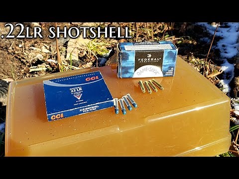 CCI & Federal .22lr Shotshell Ballistic Gel Penetration Test - Rifle & Pistol #12 Shot