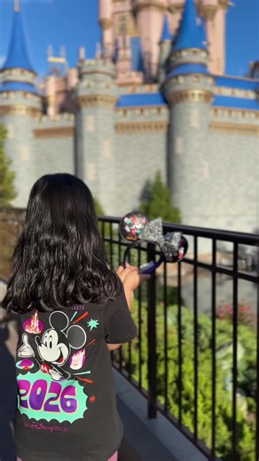 Exploring Disneyland in Florida: A Guide for Travelers