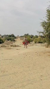 79K views · 5.5K reactions | #tharjoshahzado #tharsmartboy #thar #Tharparkar | thar smart boy | Facebook