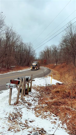 #cowshitndiesel #cowtruckin #bullhaulers #cattlehauler #livinthedream | Cattle Hauler