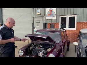 Rover Mini MPI Drive By Wire EFI System