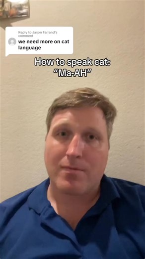 1.7M views · 19K reactions | How to call your cat | Arnie | Facebook