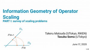 Information Geometry of Operator Scaling PART I: survey of scaling problems