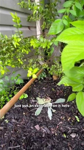 Hello, spring! Make sure your downspouts are ready for the season. 💧🌧️ #shorts