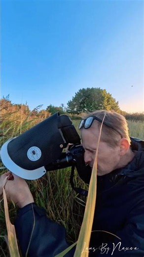 A hoverfly dressed in diamonds, every droplet a tiny universe 💧✨