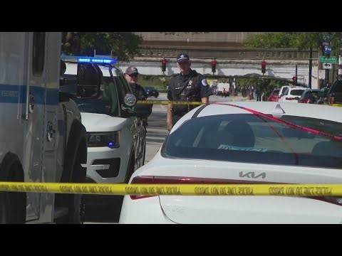 Woman fatally shot during fight in South Loop; offender in custody: police