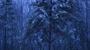 1K views · 33 reactions | Why spend hours shoveling in the freezing cold? Press a button, stay warm, and let HeatTrak do the work 24/7. | HeatTrak Snow & Ice Melting Mats | Facebook