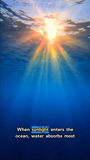 🌊 Why Is the Ocean Blue? The Answer Will Surprise You!
