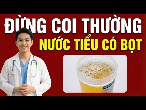 Nước Tiểu Có Bọt – Khi Nào Là Bình Thường, Khi Nào Quả Thận Đang “Kêu Cứu”?