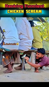 Top 5 Funniest Chicken Scream Moments 🤣