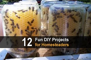 25 DIY Projects For Homesteaders