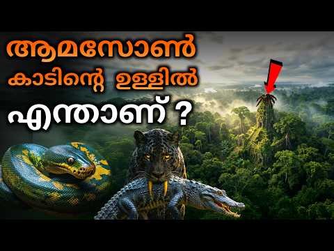 Why can't we ever explore the Amazon rainforest?