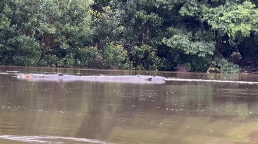 Audley Weir in the Royal National Park - Friday 23rd May 2025 #royalnationalpark #waterfall #chasingwaterfalls #audley | Find My Australia