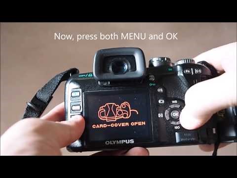 How to find the shutter count on any Olympus Four Thirds camera?