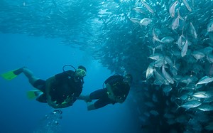 Divemaster Course Thailand | Discovery Dive Center - Koh Samui Diving