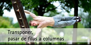 Pasar de filas a columnas en Excel - TRANSPONER - Excel y VBA