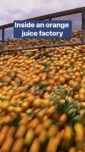 This is what the inside of an orange juice factory looks like. #orangejuice #Florida #drinks | Insider Food