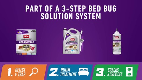 Ortho Home Defense Max Bed Bug, Flea and Tick Killer with Comfort Wand, Bed Bug Spray, Kills Bed Bug Eggs, Fleas and Ticks, 1 gal.