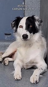 64K views · 1K reactions | ⚠️Transferred to Culver City⚠️ A5723121 ✰...