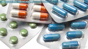 Medications to Treat the Muscular System: Terminology