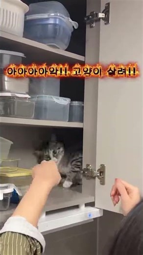 어떻게 꺼내요?