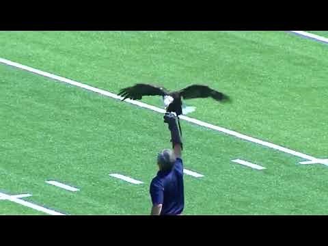 Freedom: A Georgia Southern Story