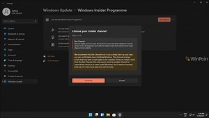 Cara Bergabung Program Windows Insider di Windows 11