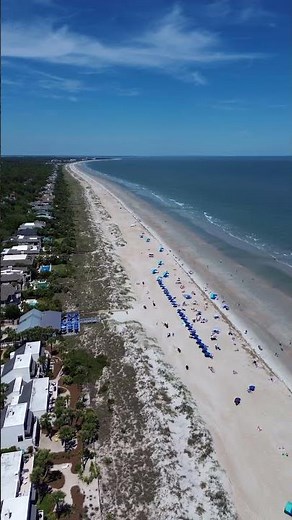 This is your sign to book the #beach trip! Spend your days relaxing beachside at Palmetto Dunes!