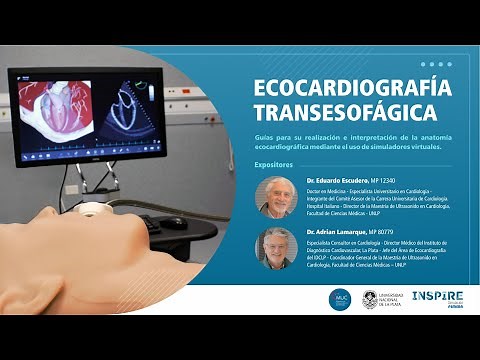 Curso virtual de Ecocardiografía Transesofágica