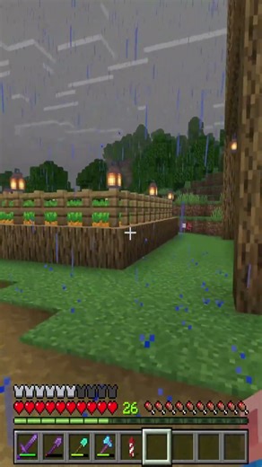 Minecraft New Oak Wood Village Pathway #mc #minecraft #multiplayer #minecraftbuilding #shorts