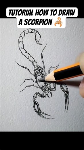 TUTORIAL | HOW TO DRAW A SCORPION 🦂 @rtwrite #art #write #drawing #scorpion #tutorial #shorts